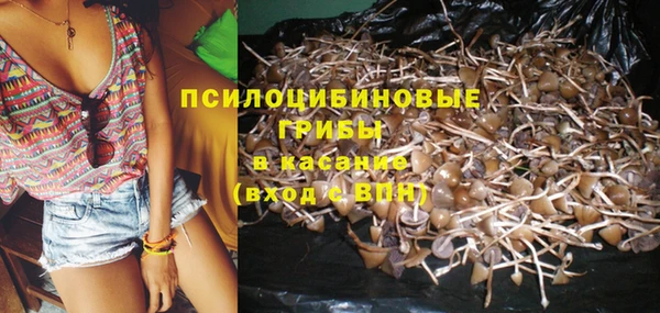 кокс Ельня