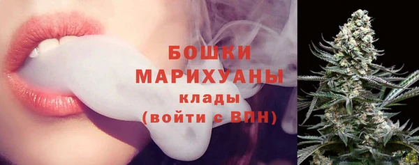 мдпв Елизово