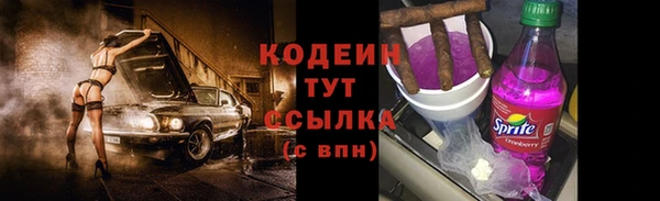 кокс Ельня