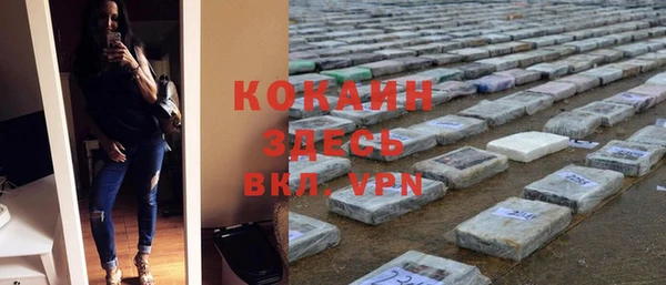 кокс Ельня