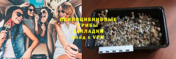 мдпв Елизово