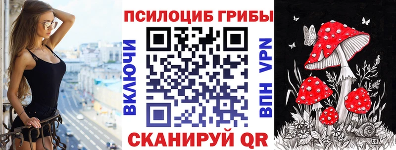 OMG ONION  Элиста  Псилоцибиновые грибы MAGIC MUSHROOMS 