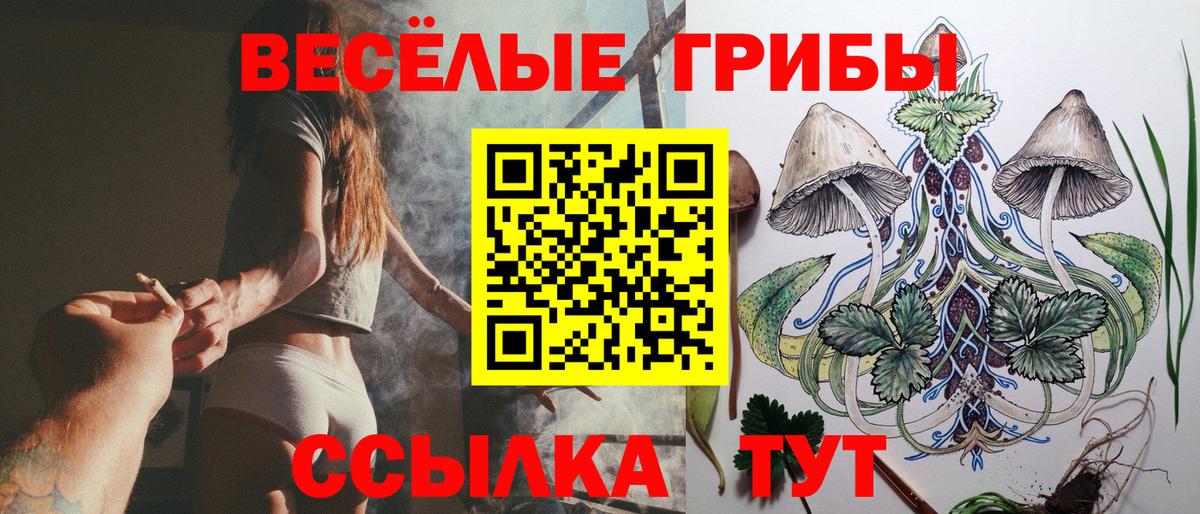 Галлюциногенные грибы мицелий  Вход с VPN  Элиста 