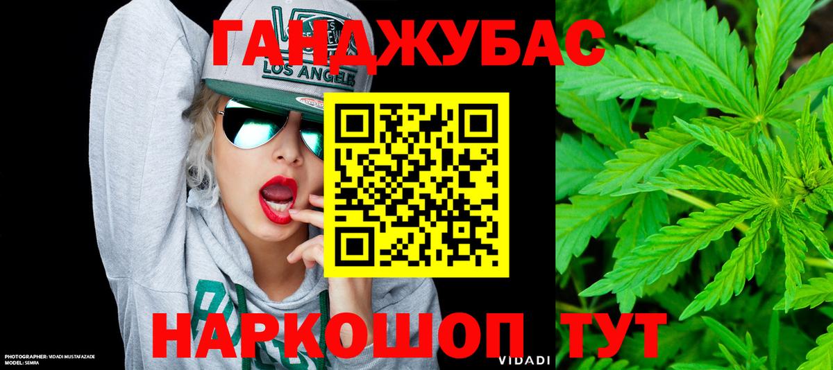 Бошки Шишки конопля  МАРИХУАНА планчик  Элиста  Вход с VPN  Бошки марихуана планчик 